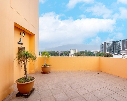 Rooftop Views
