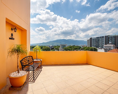 Rooftop Views